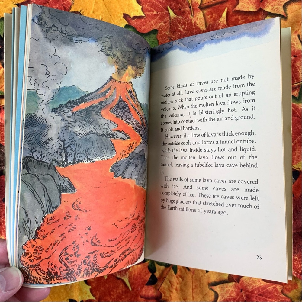 A Dark Dark Tale and Caves Book Set. - Picture 13 of 14